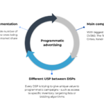 Programmatic-advertising-characteristics Programmatic-advertising-characteristics-by-adslinkers