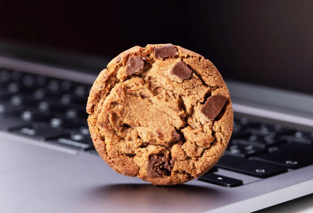 Cookie on laptop that represents digital cookie