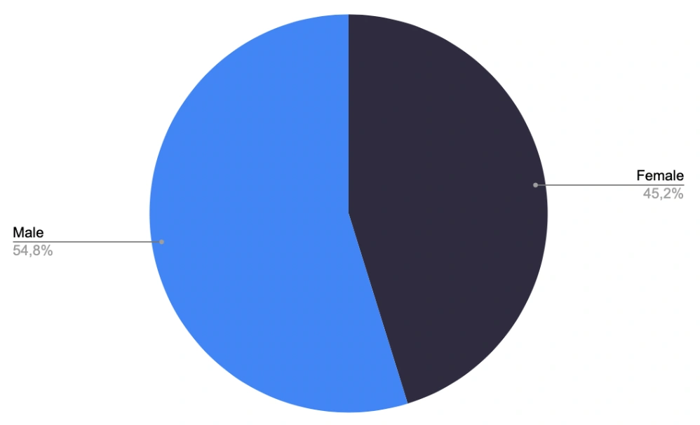 Users by gender on TikTok globally.